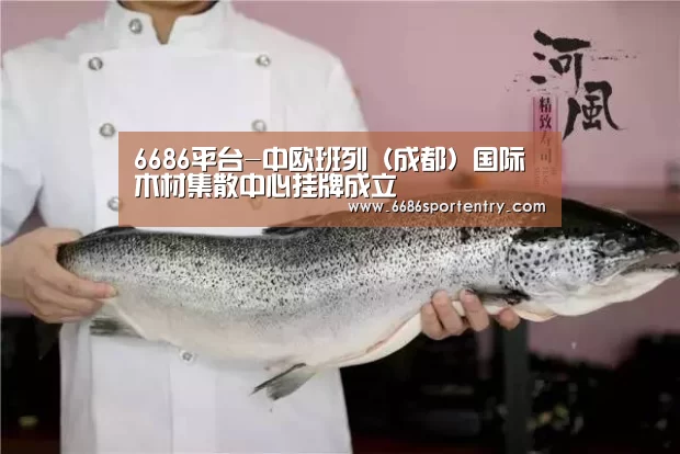 6686品牌