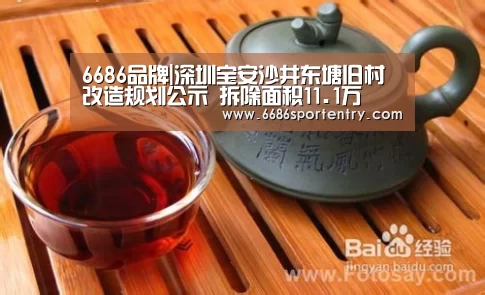 6686品牌|深圳宝安沙井东塘旧村改造规划公示 拆除面积11.1万㎡(图2) 6686体验
