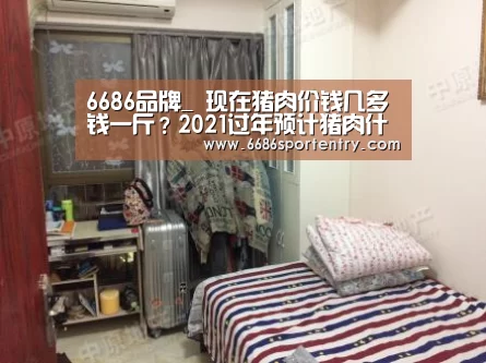 6686体验