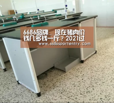 6686品牌