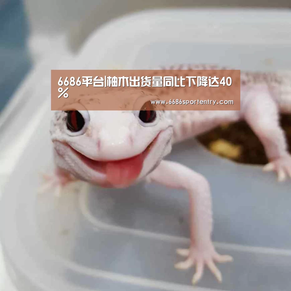 6686平台|柚木出货量同比下降达40%(图1) 6686体验