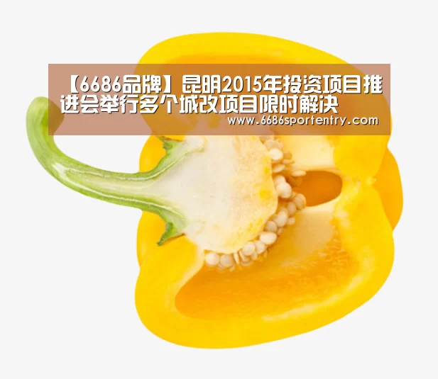 6686品牌