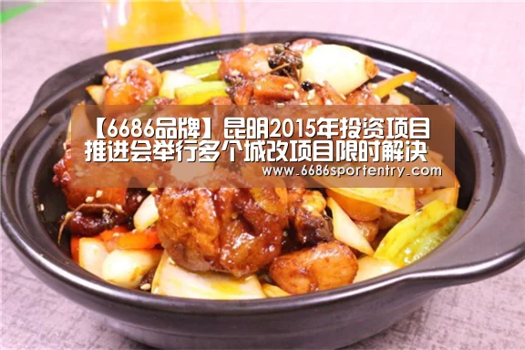 6686品牌