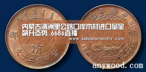 内蒙古满洲里公路口岸木材进口量呈飙升态势_6686直播(图1) 6686平台