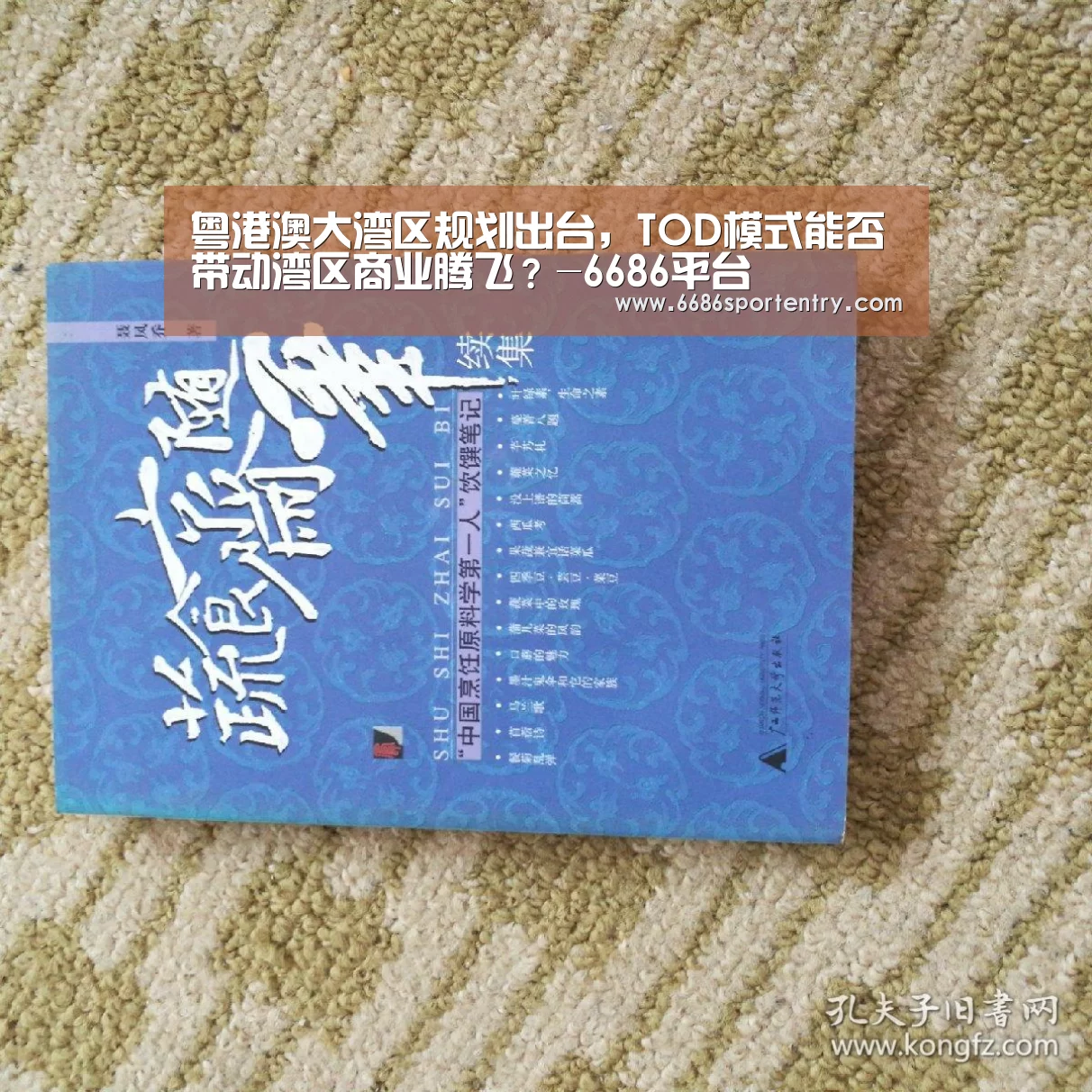 6686体验