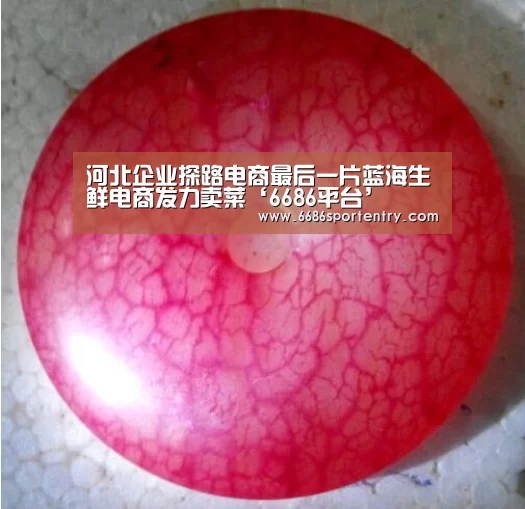河北企业探路电商最后一片蓝海生鲜电商发力卖菜‘6686平台’(图2) 6686平台