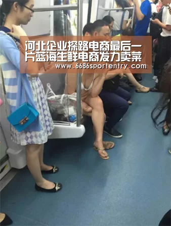 河北企业探路电商最后一片蓝海生鲜电商发力卖菜‘6686平台’(图4) 6686直播