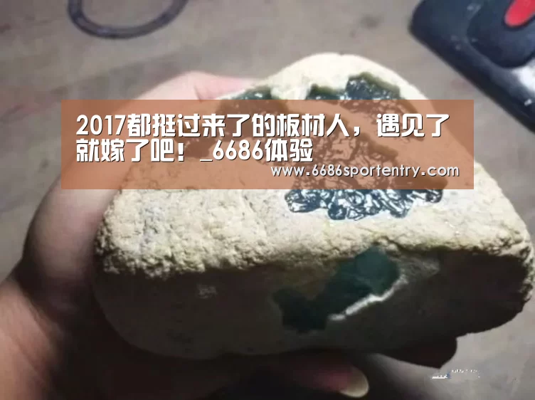 6686体验